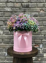 Цветочная композиция из Гипсофила и Розы в шляпной коробке #REPLACE_PRED# Сурске