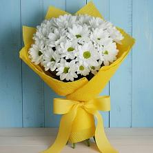 Букет цветов из:  Хризантемы в Сурске