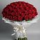 Букет 101 Красная роза Блэк Мэджик в Сурске