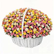 Премиум букет из: Розы в Сурске