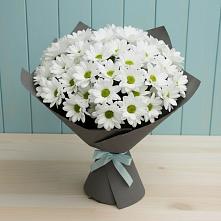Букет цветов из:  Хризантемы #REPLACE_PRED# Сурске