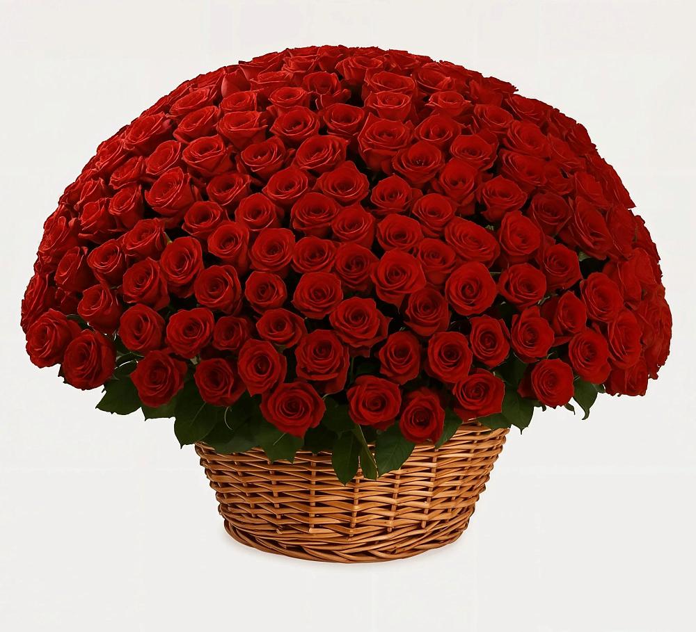 Премиум букет из: Розы в Сурске