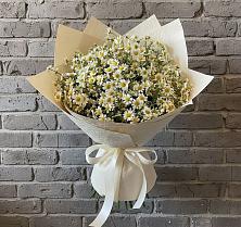 Букет цветов из:  Ромашки #REPLACE_PRED# Сурске