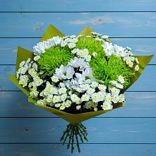 Букет цветов из:  Хризантемы в Сурске