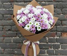 Букет цветов из:  Хризантемы #REPLACE_PRED# Сурске