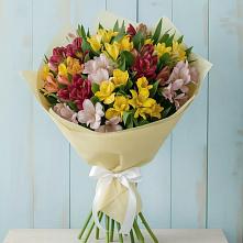 Букет цветов из:  Альстромерии в Сурске