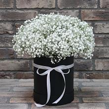 Цветочная композиция из Гипсофила в шляпной коробке в Сурске