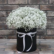 Цветочная композиция из Гипсофила в шляпной коробке в Сурске